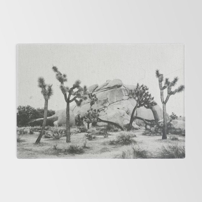 JOSHUA TREE XIV / California Desert Rug Gallery Image 2