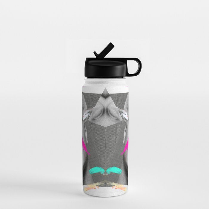 Composition 733 Water Bottle Gallery Image 1