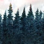 Forest Under the Sunset Coffee Mug Gallery Image 2
