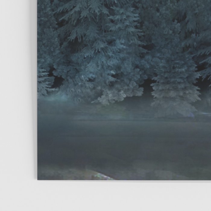 Forest Under the Sunset Poster Gallery Image 3