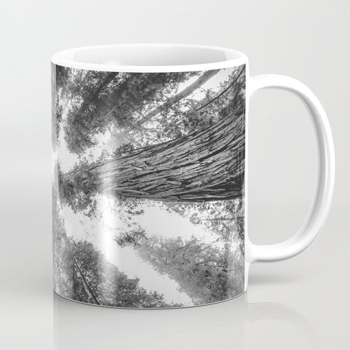 Into the Mist - Black and White Nature Photography Coffee Mug Gallery Image 1