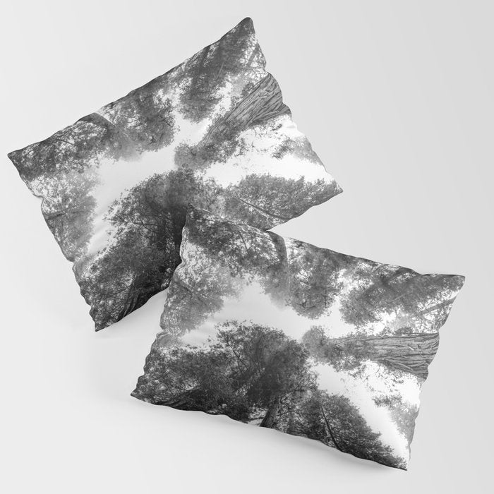 Into the Mist - Black and White Nature Photography Pillow Sham Gallery Image 1