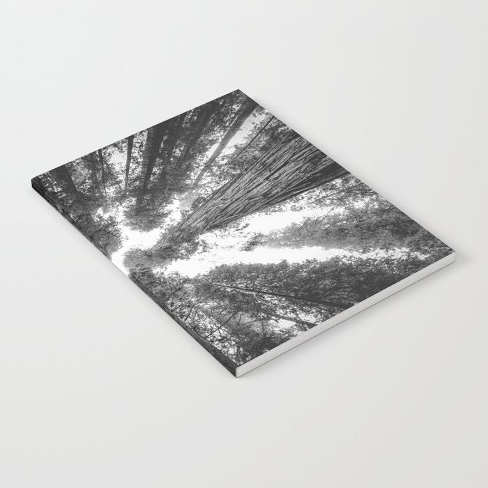 Into the Mist - Black and White Nature Photography Notebook Gallery Image 2