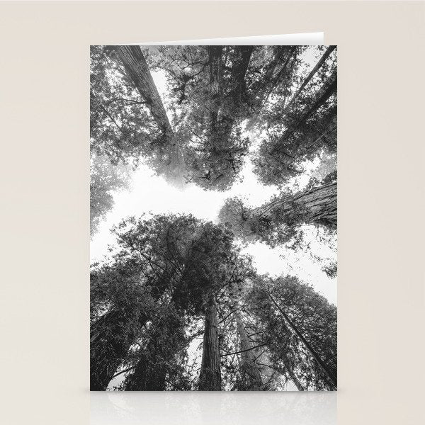 Into the Mist - Black and White Nature Photography Stationery Card Gallery Image 2