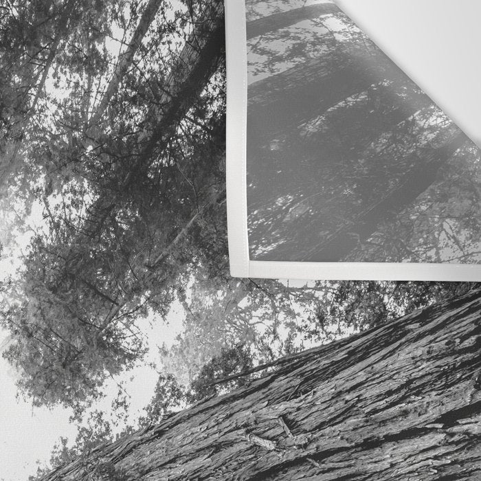 Into the Mist - Black and White Nature Photography Wall Tapestry Gallery Image 3