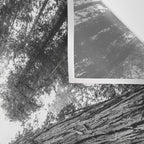 Into the Mist - Black and White Nature Photography Wall Tapestry Gallery Image 3