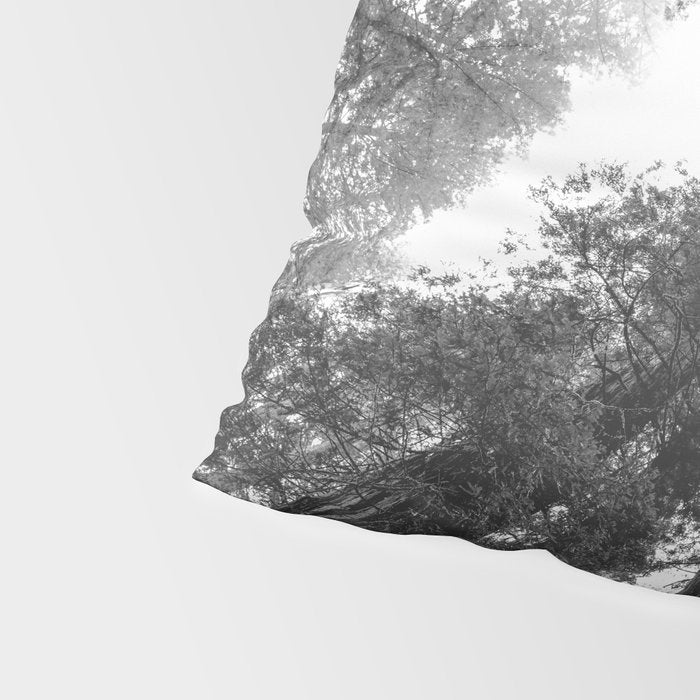 Into the Mist - Black and White Nature Photography Pillow Sham Gallery Image 4