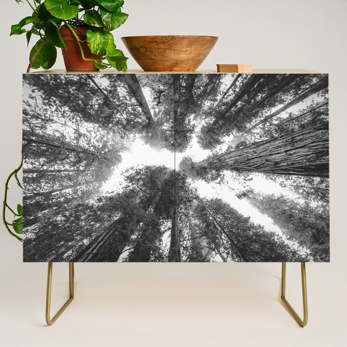 Into the Mist - Black and White Nature Photography Credenza Gallery Image 1