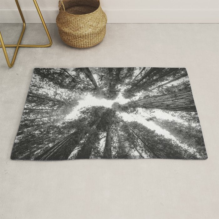 Into the Mist - Black and White Nature Photography Rug Gallery Image 1