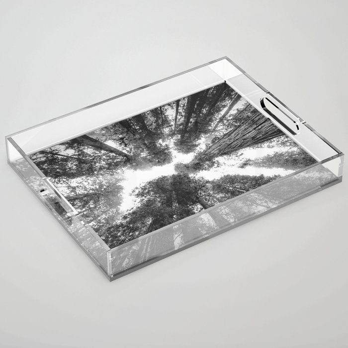 Into the Mist - Black and White Nature Photography Acrylic Tray Gallery Image 1