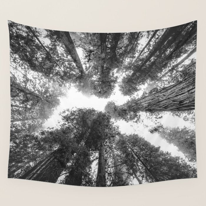 Into the Mist - Black and White Nature Photography Wall Tapestry Gallery Image 1