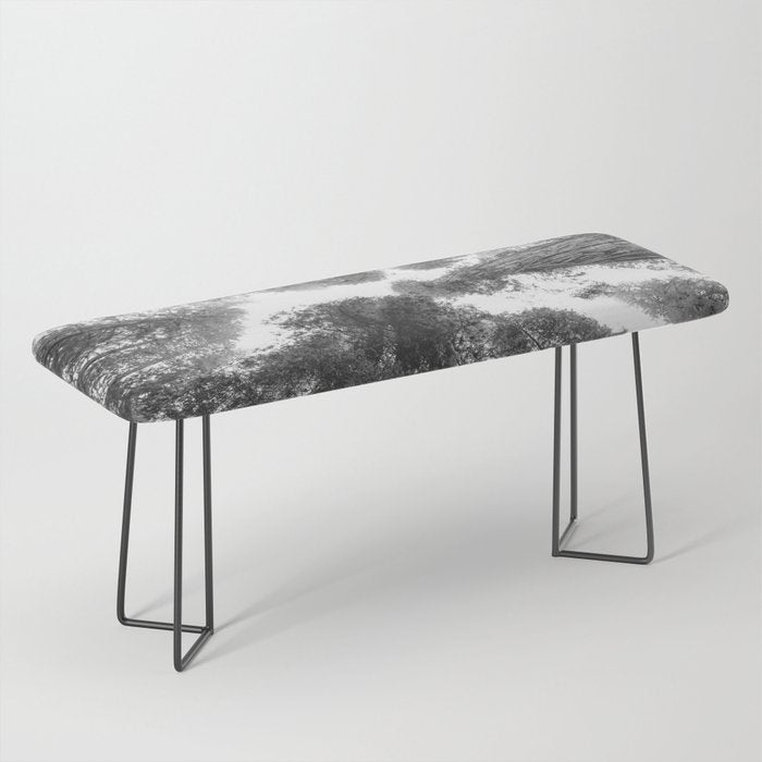 Into the Mist - Black and White Nature Photography Bench Gallery Image 1