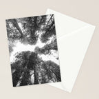 Into the Mist - Black and White Nature Photography Stationery Card Gallery Image 2