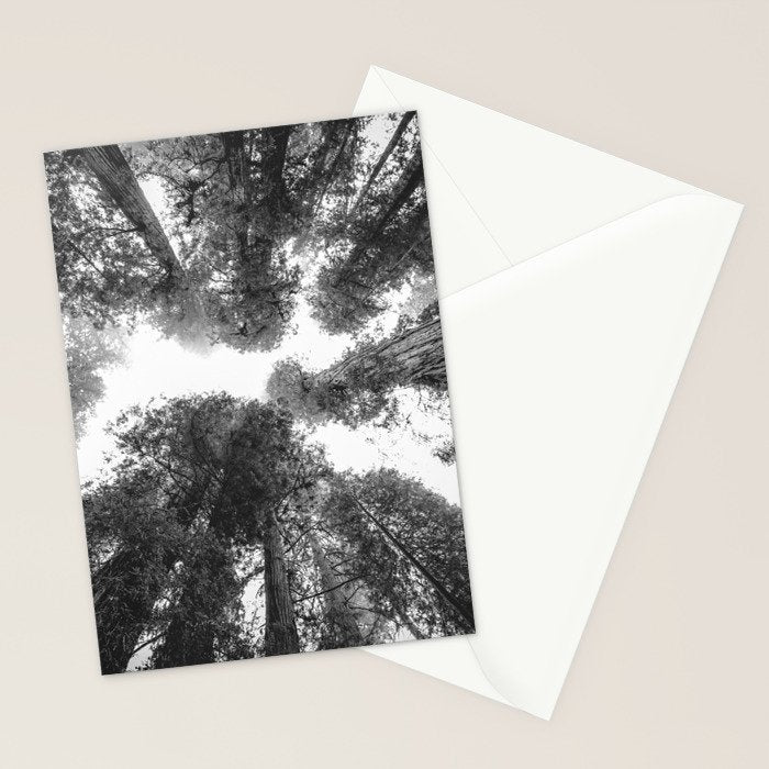 Into the Mist - Black and White Nature Photography Stationery Card Gallery Image 2