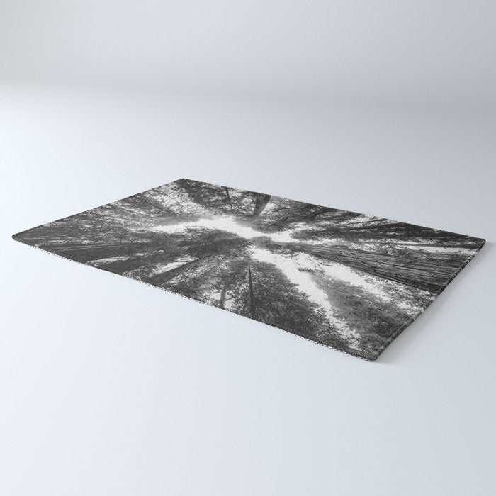 Into the Mist - Black and White Nature Photography Rug Gallery Image 3