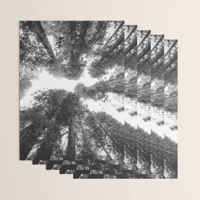 Into the Mist - Black and White Nature Photography Wrapping Paper Gallery Image 3