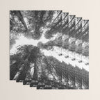 Into the Mist - Black and White Nature Photography Wrapping Paper Gallery Image 3