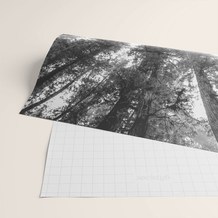 Into the Mist - Black and White Nature Photography Wrapping Paper Gallery Image 2