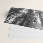 Into the Mist - Black and White Nature Photography Wrapping Paper Gallery Image 2