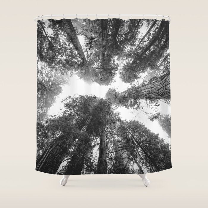 Into the Mist - Black and White Nature Photography Shower Curtain Gallery Image 1