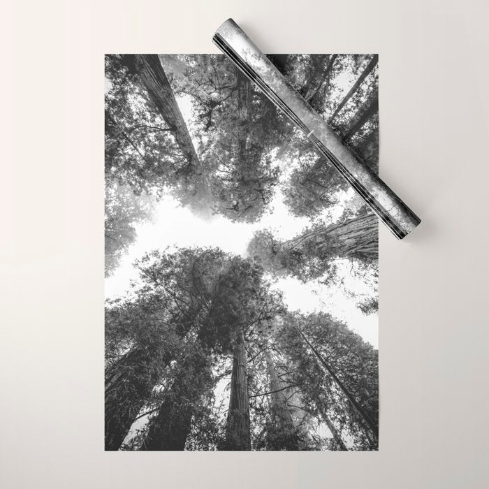 Into the Mist - Black and White Nature Photography Wrapping Paper Gallery Image 1