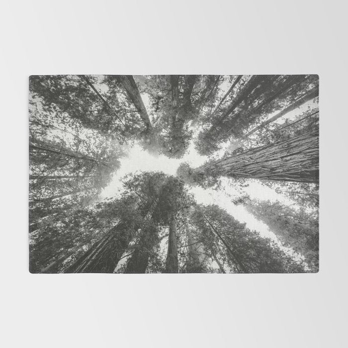 Into the Mist - Black and White Nature Photography Rug Gallery Image 2