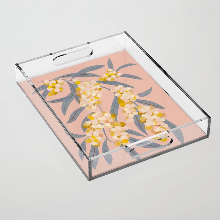  Acacia retinoides plant Acrylic Tray Gallery Image 1