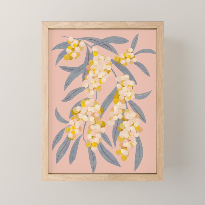 Acacia retinoides plant Mini Art Print Gallery Image 1