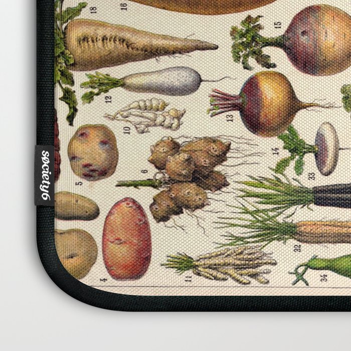 Adolphe Millot Legumes Plant Potageres Vintage Scientific Encyclopedia Illustration Lithograph  Laptop Sleeve Gallery Image 3
