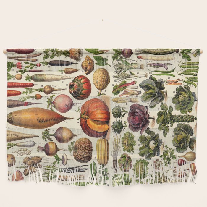 Adolphe Millot Legumes Plant Potageres Vintage Scientific Encyclopedia Illustration Lithograph  Wall Hanging Gallery Image 1