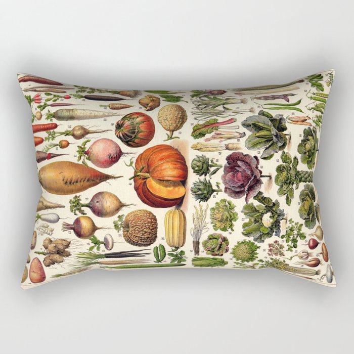 Adolphe Millot Legumes Plant Potageres Vintage Scientific Encyclopedia Illustration Lithograph  Rectangular Pillow Gallery Image 1