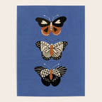 Butterflies in blue Poster Gallery Image 4