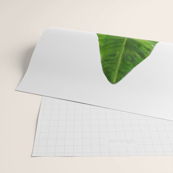 Banana Leaf Wrapping Paper Gallery Image 2