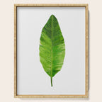 Banana Leaf Serving Tray Gallery Image 1