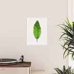 Banana Leaf Poster Gallery Image 2