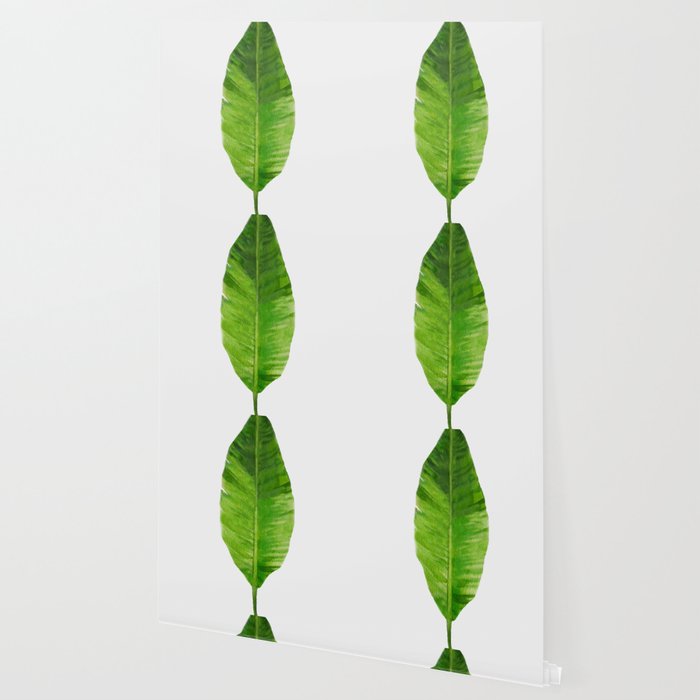 Banana Leaf Wallpaper Gallery Image 2