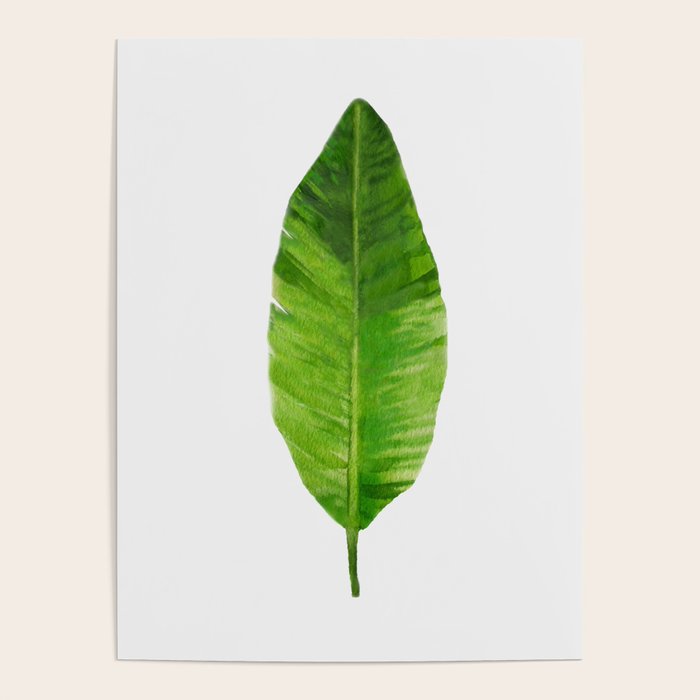 Banana Leaf Poster Gallery Image 4