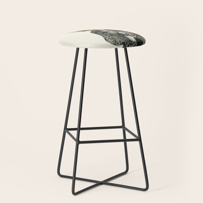 Kitten Dressed as Cat Stool Gallery Image 1