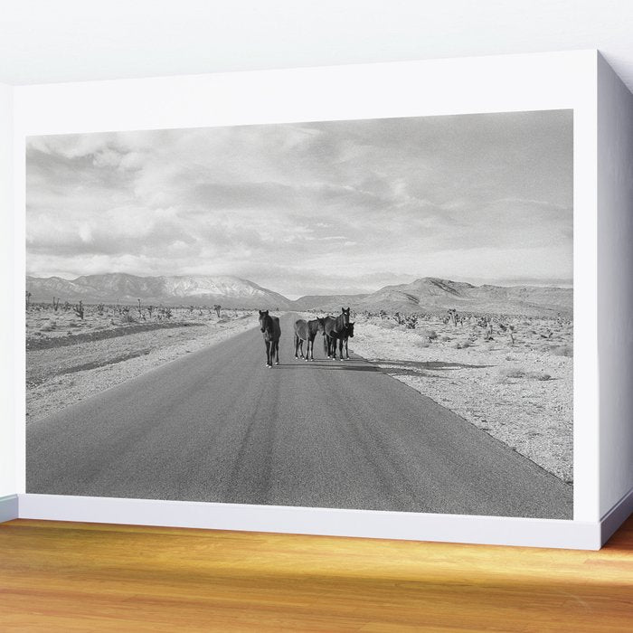 Spring Mountain Wild Horses Wall Mural Gallery Image 2