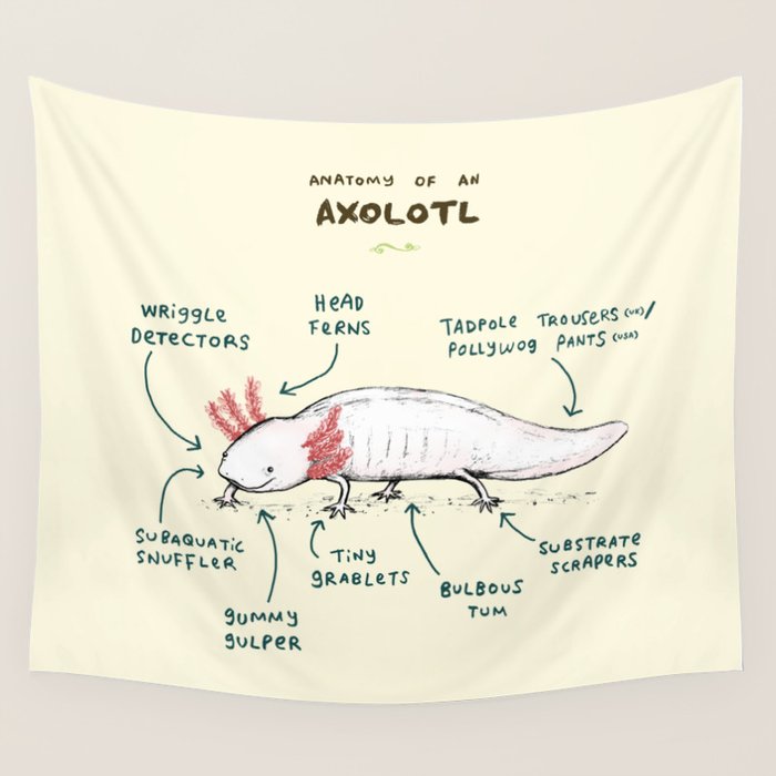 Anatomy of an Axolotl Wall Tapestry Gallery Image 4