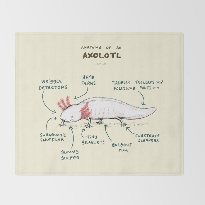 Anatomy of an Axolotl Throw Blanket Gallery Image 2