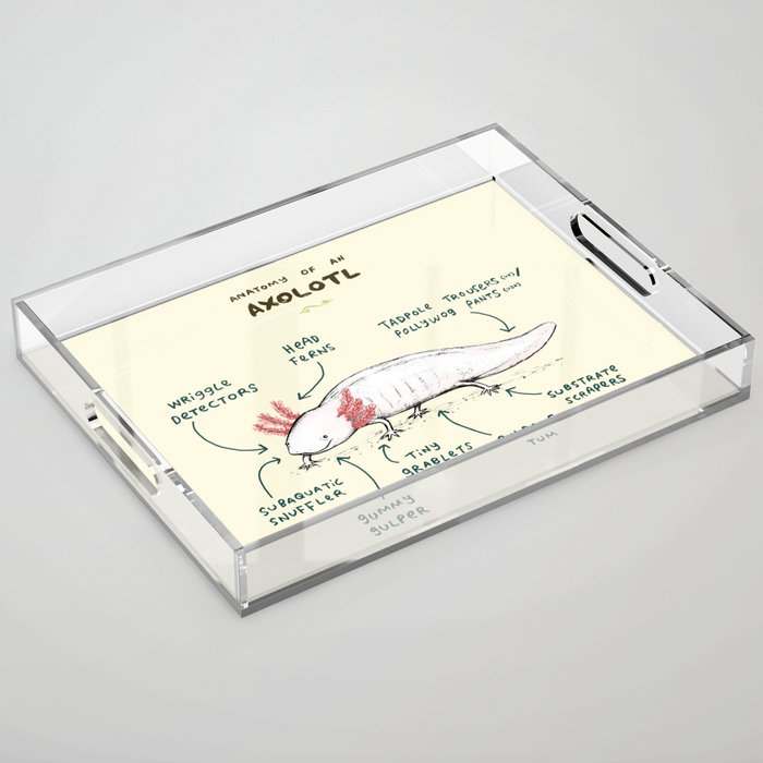 Anatomy of an Axolotl Acrylic Tray Gallery Image 1