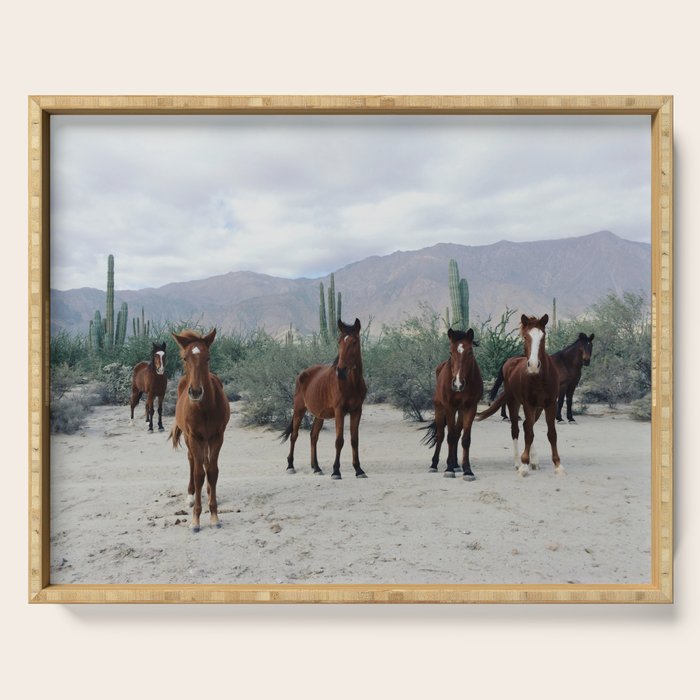 Bahía de los Ángeles Wild Horses Serving Tray Gallery Image 1