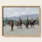Bahía de los Ángeles Wild Horses Serving Tray Gallery Image 1