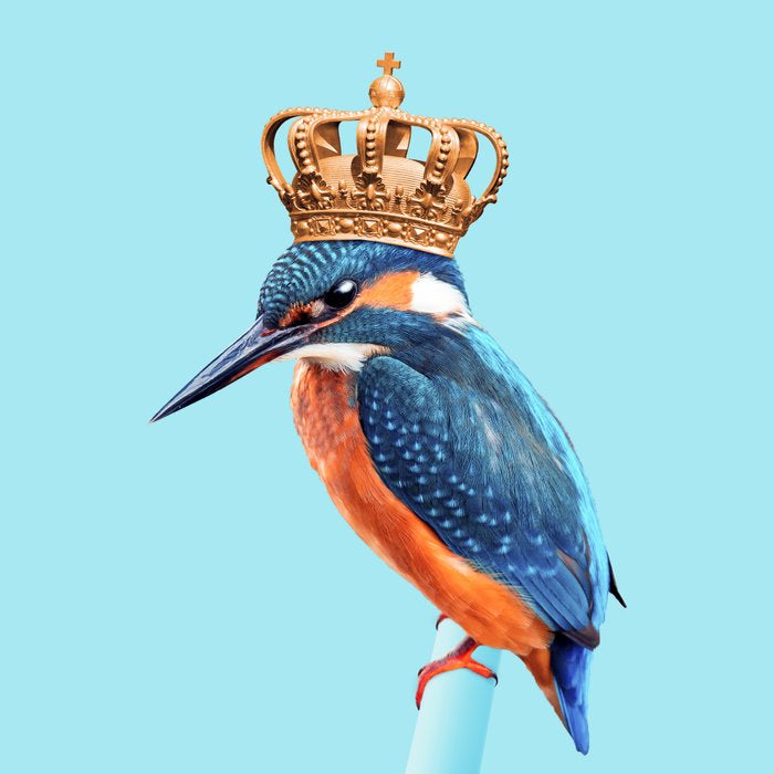 KINGFISHER Coffee Mug Gallery Image 2