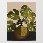 Monstera Plant In A Pot 1 Poster Gallery Image 4