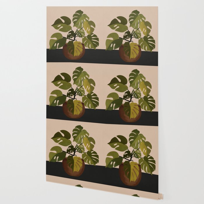 Monstera Plant In A Pot 1 Wallpaper Gallery Image 2