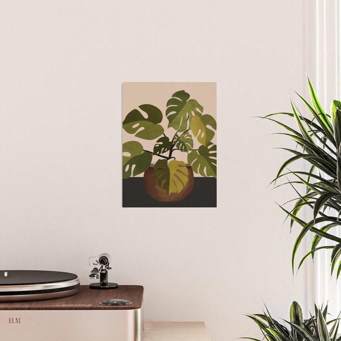 Monstera Plant In A Pot 1 Poster Gallery Image 2