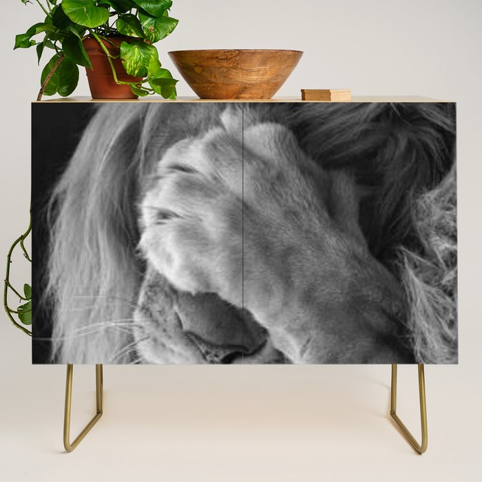 Even Lions Have Bad Days - The Lion Sleeps Tonight black and white photograph  Credenza Gallery Image 1
