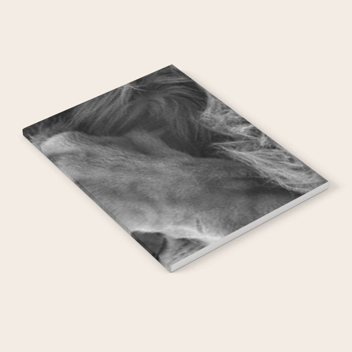 Even Lions Have Bad Days - The Lion Sleeps Tonight black and white photograph  Notebook Gallery Image 1